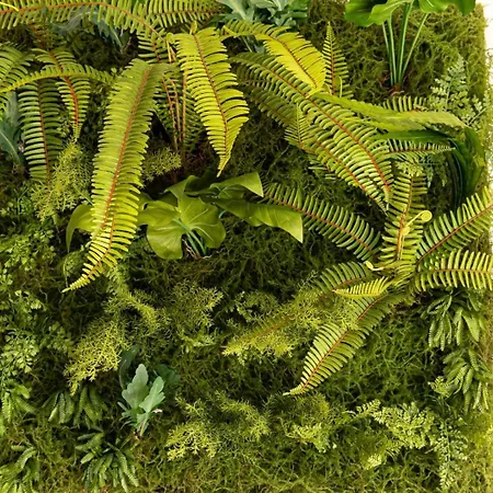 Guyane Casa de Férias *
